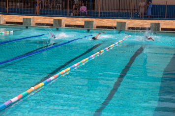 Foto - Natação
