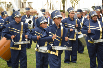 Foto - Plantio dos Ipês