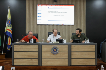 Audiência Pública para avaliação das metas fiscais referentes ao 3º quadrimestre de 2024