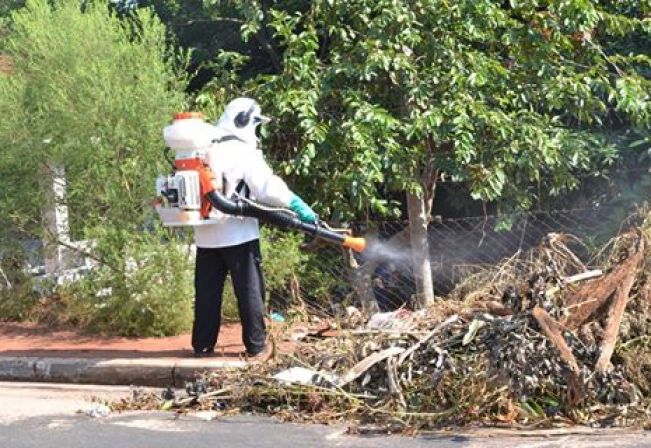 Governo Federal comunica falta de inseticida de combate a dengue em todo o país