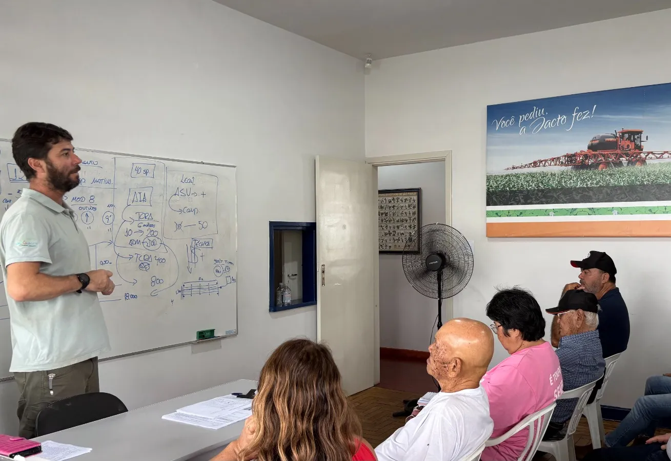 Programa de Florestamento